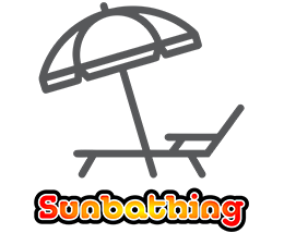 sunbathing-dolphin-beach-jbay sunbathing-dolphin-beach-jbay